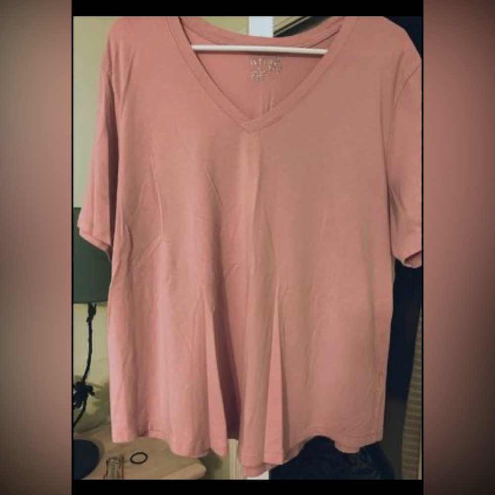 Women’s Terra & Sky Short Sleeve Pink Top 2X